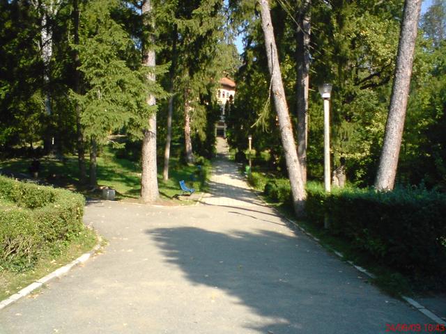 Alee umbrită prin parcul dendrologic al stațiunii Băile Govora
