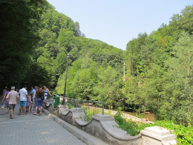 Aleea principală a stațiunii Băile Olănești, mărginită de pădure